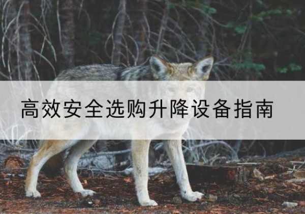 通渭升降货梯厂家推荐-*安全选购升降设备指南