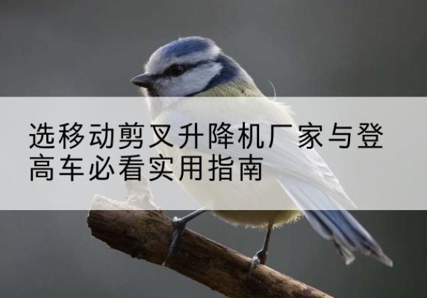 通渭电动升降机厂家-选移动剪叉升降机厂家与登高车必看实用指南