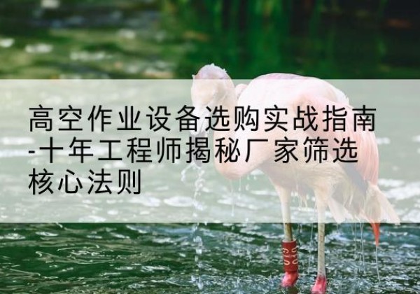 通渭剪叉式升降机厂家-高空作业设备选购实战指南-十年工程师揭秘厂家筛选核心法则